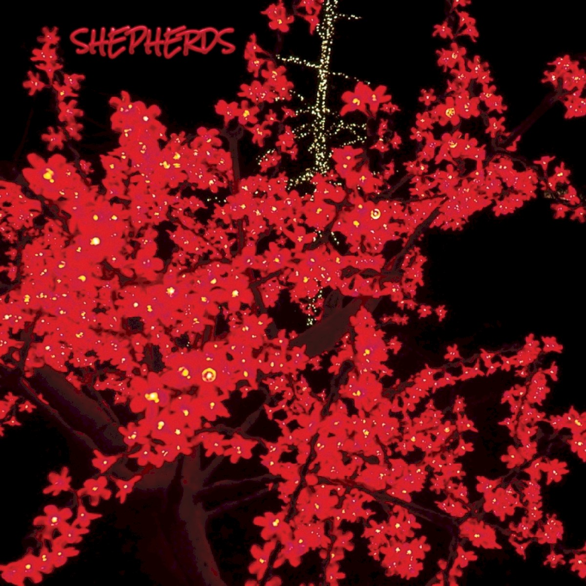 Shepherds